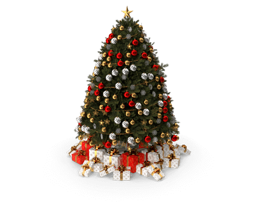 Christmas Runball Rally